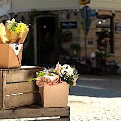 Kartonglinjen, som nu är i drift, gör Stora Ensos anläggning i Uleåborg till koncernens största produktionsenhet. Foto: Stora Enso