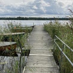 Längs sjöarnas stränder finns en rik vegetation av snabbväxande vattenväxter som tar upp koldioxid. Foto: Sandra Gunnarsson