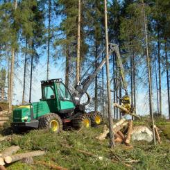 Bearbetning av finländsk skog med Timberjack 1070D Harvester. Foto: Wikipedia Common, kredit: Heikki Valve