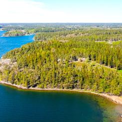 Föreslagen plats för en SMR-anläggning i Valdemarsvik. Foto: Latona Group)